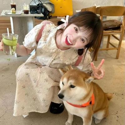 凸槌保险员海报
